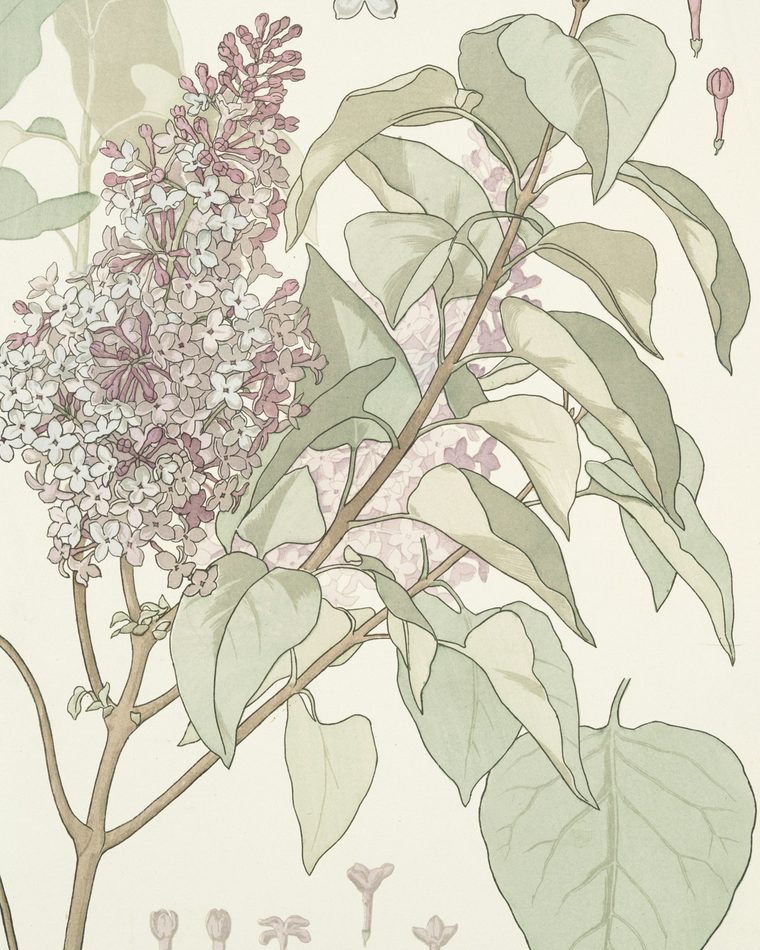 Botanical wallpaper pattern with lilac blossoms and soft green foliage