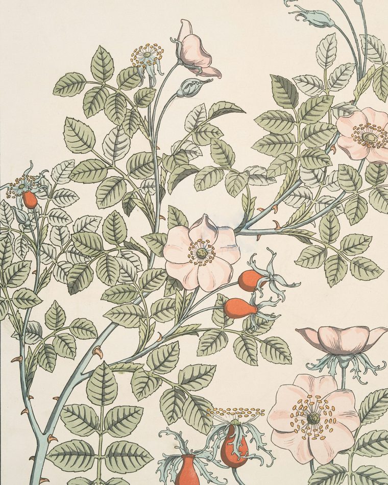 Classic botanical wallpaper pattern with trailing flowers and berries